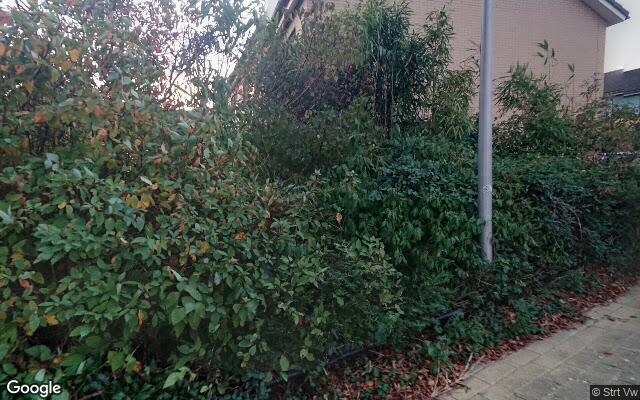 Speeltuin Mayonstraat