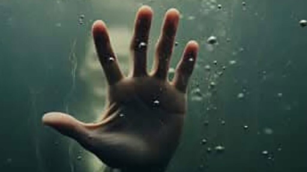 Documentaire From Compassion to Crime in Purmerend