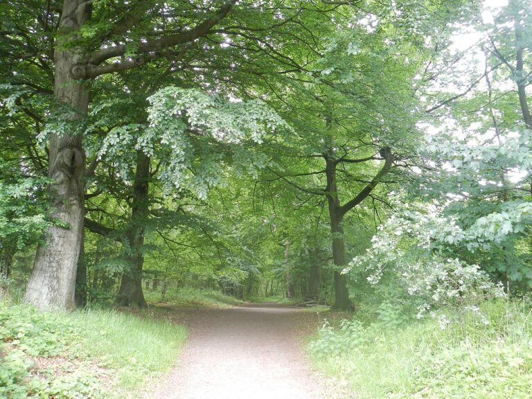 Winters Purmerend — Natuur in Purmerend